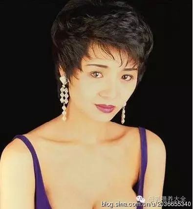 成龙在全球影迷心中的影响_成龙的影迷里有哪些名人_成龙歌曲迷