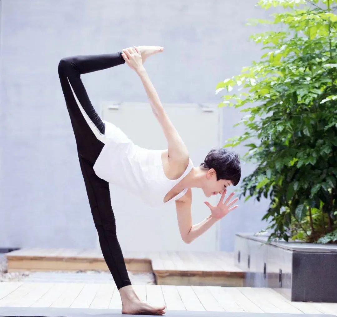 金巧巧的演艺事业转型_演员金巧巧百度百科_影视明星金巧巧