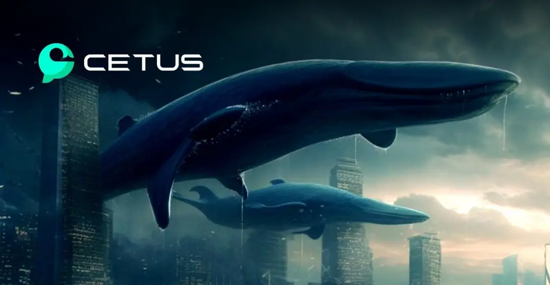 如何通过USDT实现资产流动性的优化?_优质资产流动性_流动资产管理优化方案