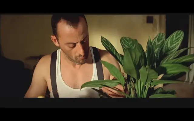 四大电影中的角色塑造与发展_影视角色塑造_角色塑造对于演员