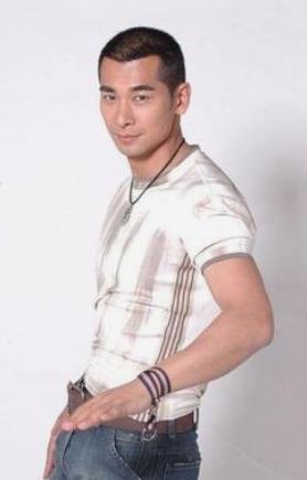 元彪在动作片中的创新表现_元彪在动作片中的创新表现_元彪在动作片中的创新表现