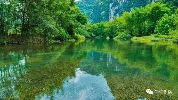 用户分享:通过tp钱包官网安卓下载管理多种加密资产的成功经验_加密钱包下载_加密货币钱包软件推荐