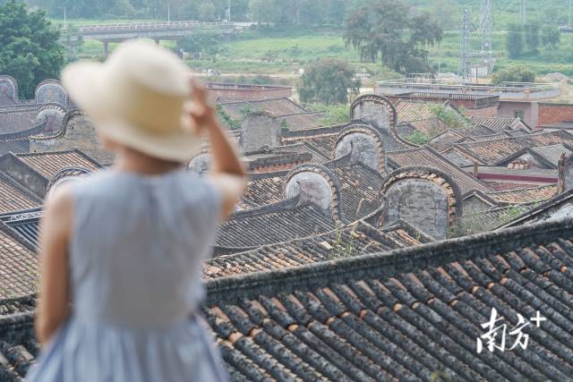 长岐村连片镬耳屋是岭南古村的代表。南方日报记者戴嘉信 摄