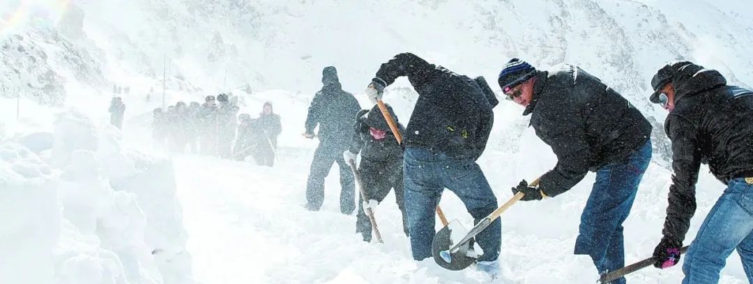 逆境中坚持作文800字议论文_逆境中坚持的议论文_逆境中的坚持与不屈