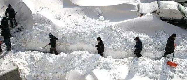 逆境中的坚持与不屈_逆境中坚持作文800字议论文_逆境中坚持的议论文