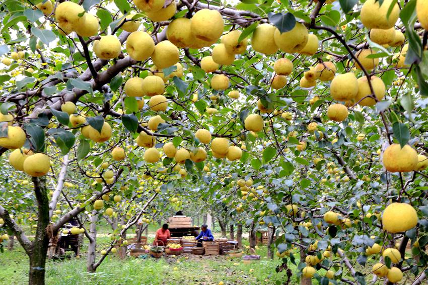 提升质量安全水平_质量安全提升行动总结_秦英林如何提升产品质量与安全