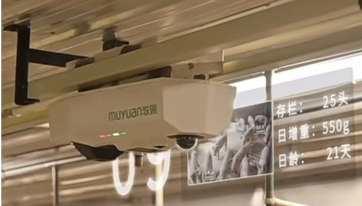 秦英林如何提升产品质量与安全_安全品质提升改善方案_质量安全提升行动总结