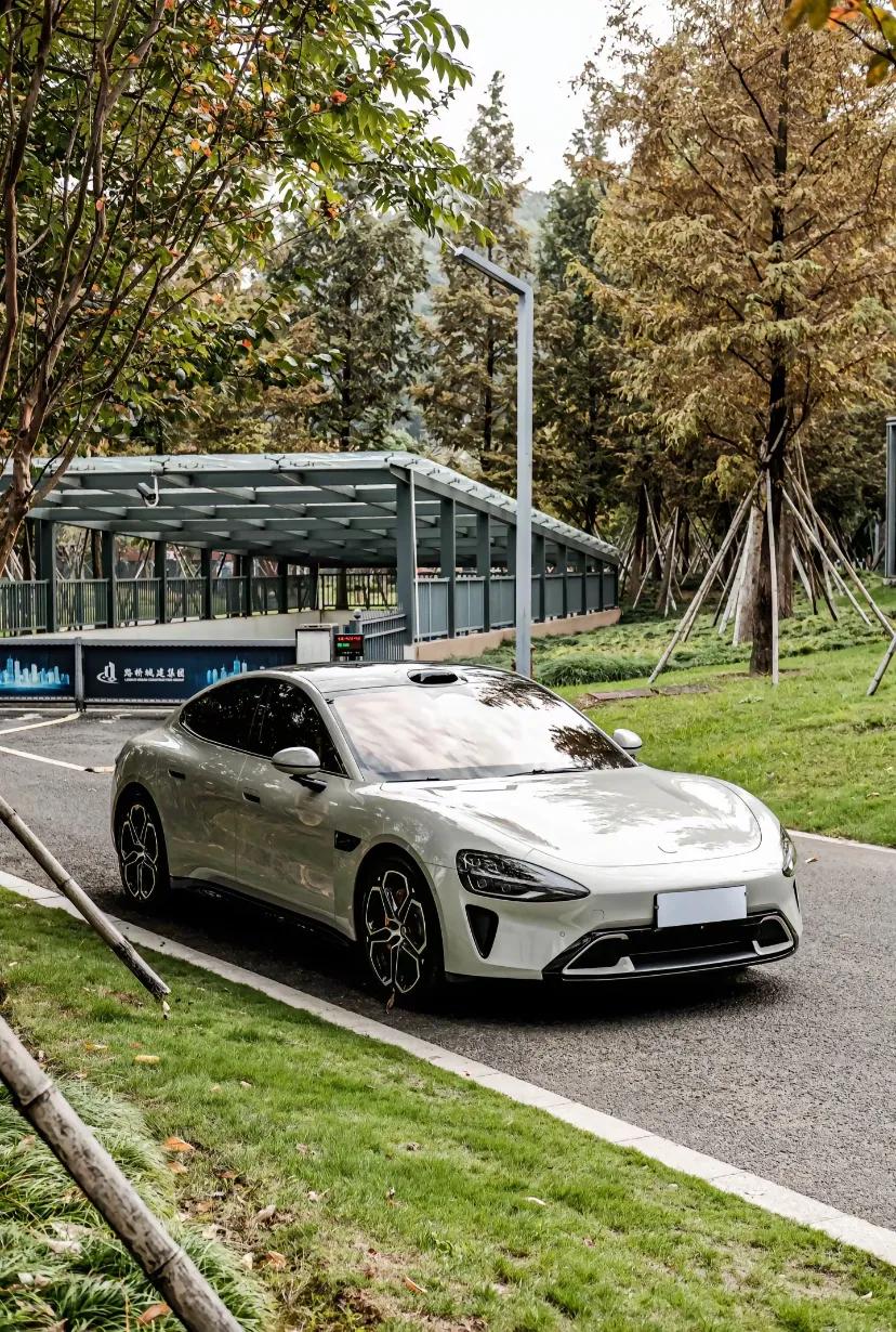 小型SUV中的佼佼者:小米汽车的性能表现_小米微型车_小米汽车suv