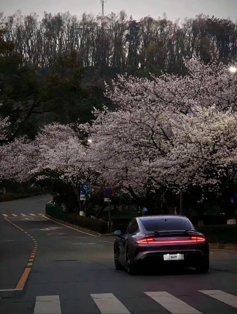 小米汽车suv_小型SUV中的佼佼者:小米汽车的性能表现_小米微型车