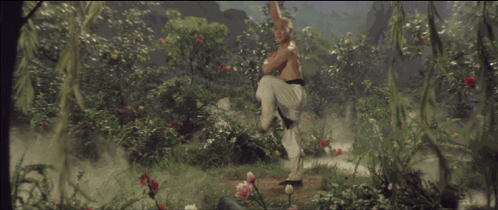 元彪在动作片中的创新表现_元彪在动作片中的创新表现_元彪在动作片中的创新表现