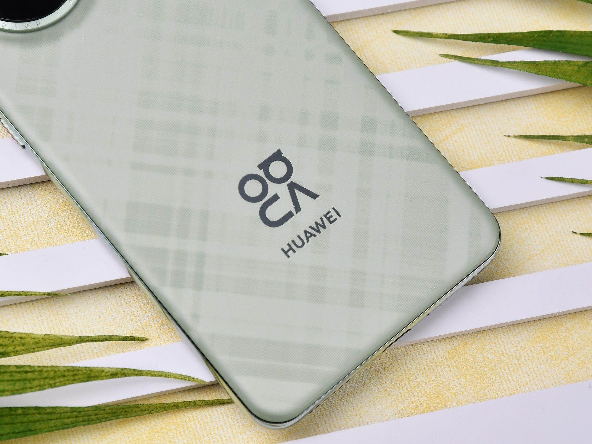 nova系列拍照怎么样_nova系列的拍照效果大比拼_华为nova拍照哪个好