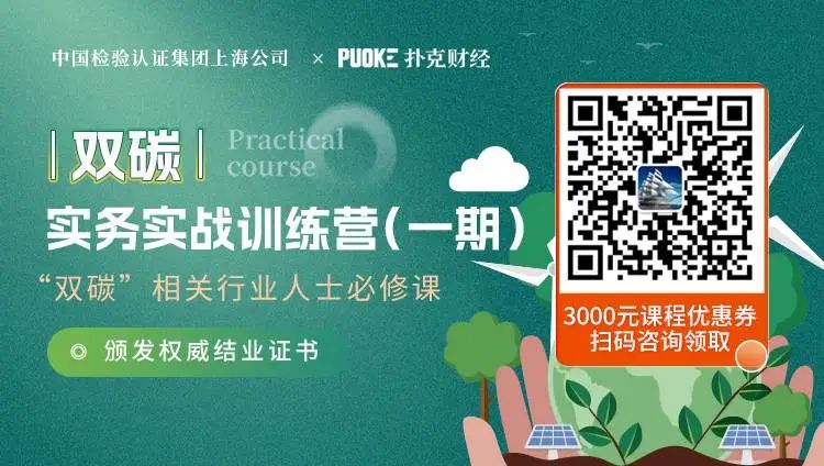 阐述货币虚拟化的逻辑过程_货币虚拟化_如何构建合理的虚拟货币资产配置：实现收益与风险的平衡